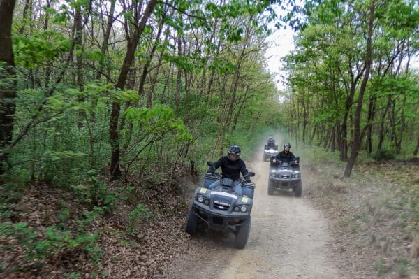 Quad Tour Neusiedlersee - Genießer (2 Std.)