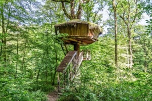 Übernachtung im Feen-Baumhaus in der Champagne für 2