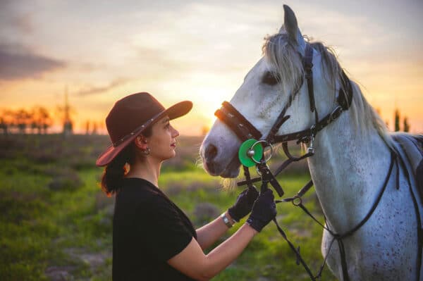 Pferde reiten im Naturschutzgebiet Ispra