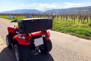 Quad Tour Neustadt an der Weinstraße (4 Std.)