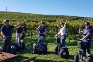 Segway Tour durch Jois