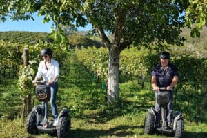 Segway Tour durch die Weingärten von Jois