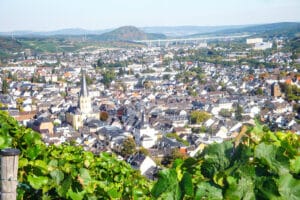 Weinbergwanderung in Bad Neuenahr-Ahrweiler