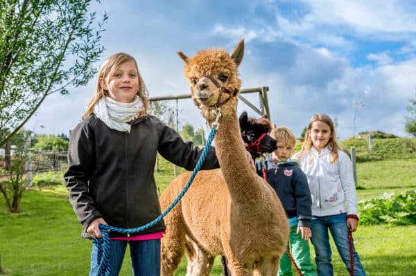 Bauernhof Besuch Bad Großpertholz