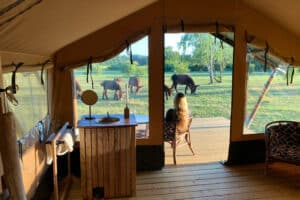 Camping im Tierpark Arche Warder für 2 (2 Nächte)