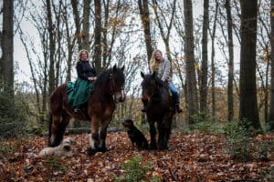 Reiten Windeck