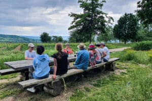 Weinwanderung Ingelheim am Rhein für 2 (2