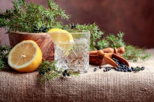 Gin Seminar Neu Wulmstorf