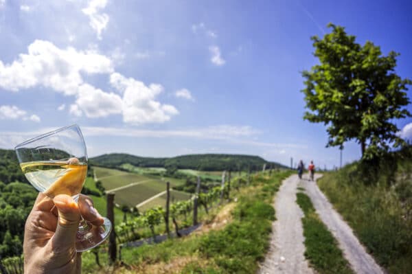 Weinwanderung Flörsheim-Dalsheim