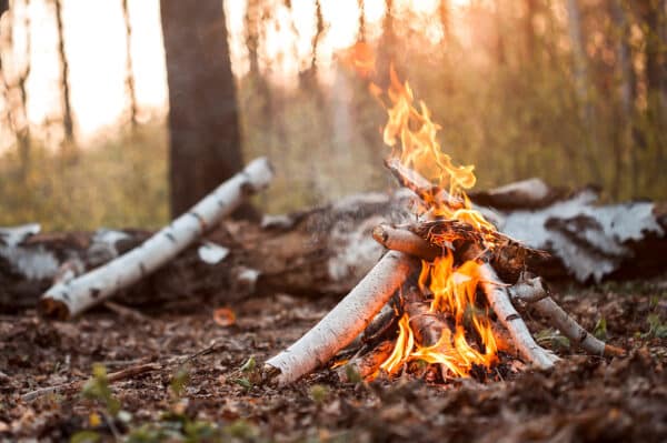 Survival Training Bärschwil