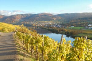 Weinwanderung und Schifffahrt auf der Mosel Bernkastel