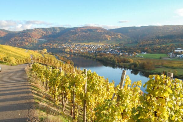 Weinwanderung und Schifffahrt auf der Mosel Bernkastel