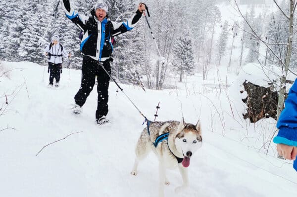 Husky Schneeschuhtrekking Hohentauern