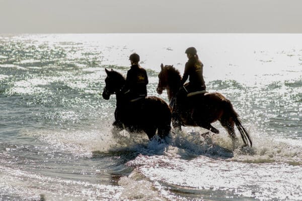 Strandritt Ostsee mit Probestunde Hirschburg (Okt. - Apr.)