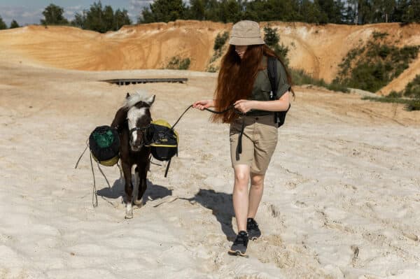 Pony Spaziergang für 2 Barth