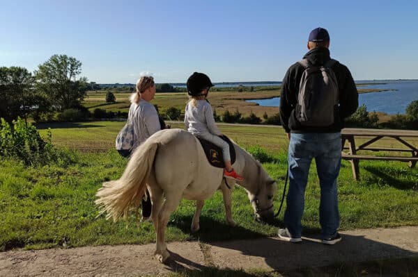 Pony Spaziergang für 2 Kuhlen-Wendorf