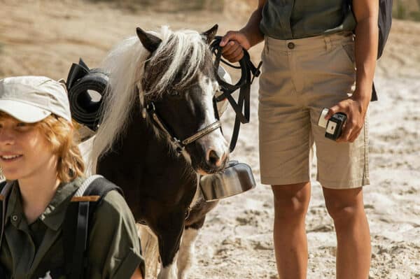 Pony Spaziergang für 2 Bad Doberan