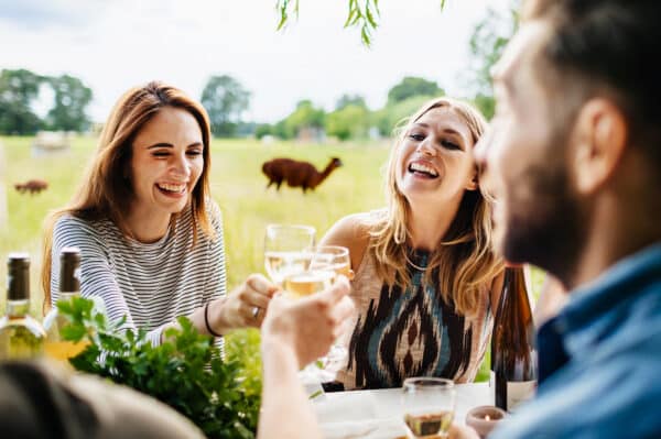 Weinprobe auf der Alpakaweide