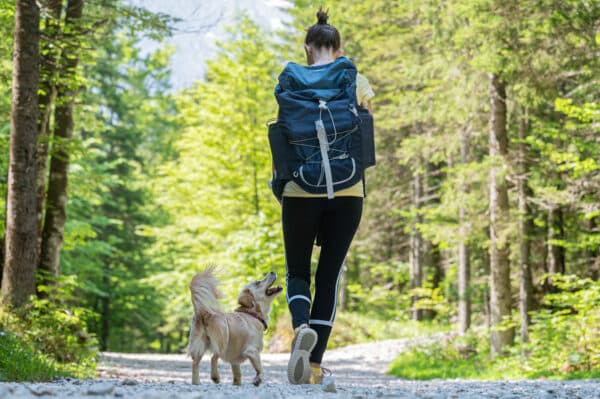 Urlaub mit Hund im Harz für 2 (1 Nacht)