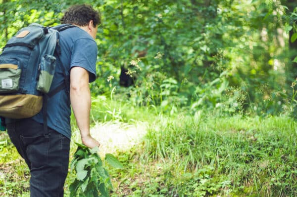 Wildkräuter Kochkurs Hattingen